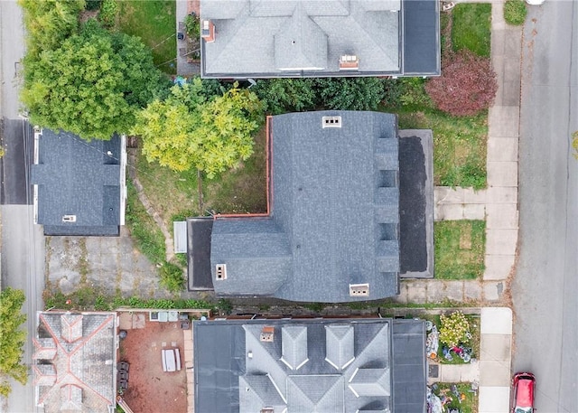 bird's eye view
