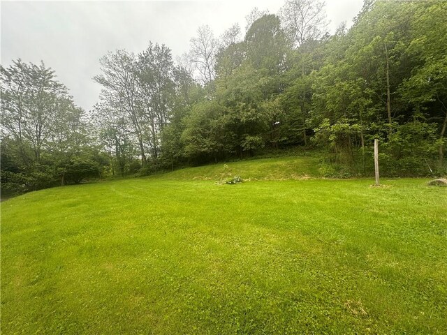 703 Fairview Ave, Ellwood City Law, PA 16117 - photo 28