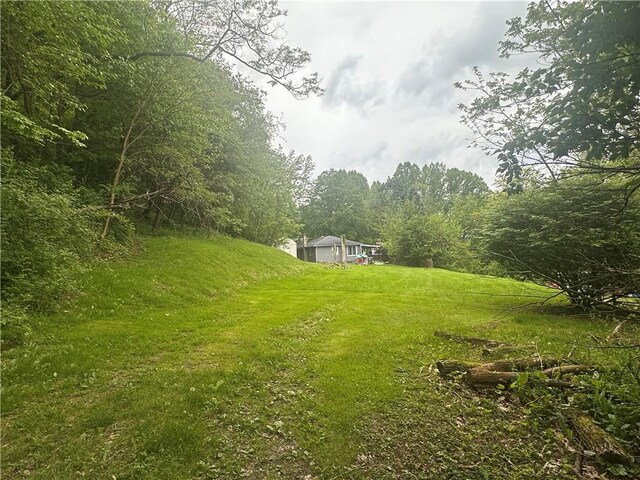 703 Fairview Ave, Ellwood City Law, PA 16117 - photo 29