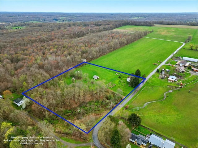 bird's eye view with a view of trees and a rural view