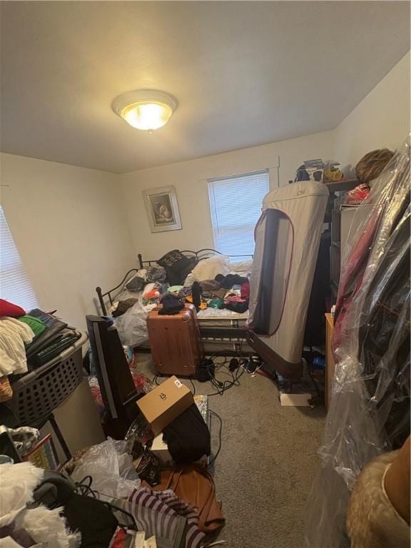 bedroom featuring carpet flooring