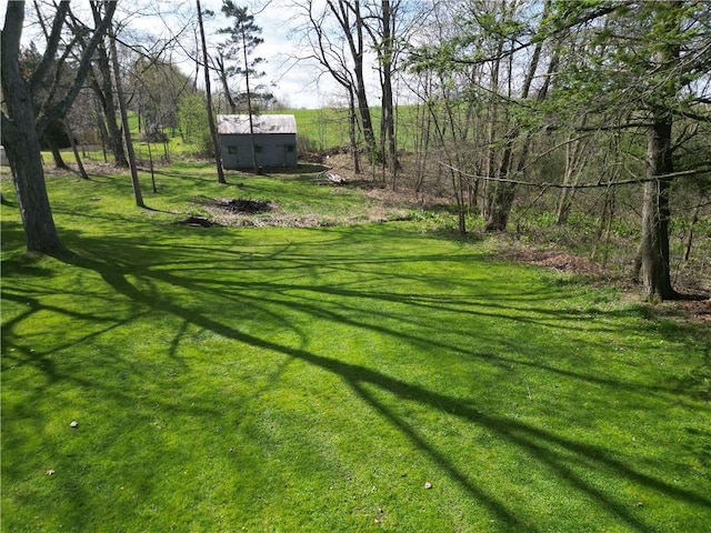 view of grassy yard