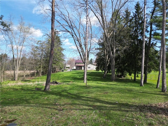 view of grassy yard
