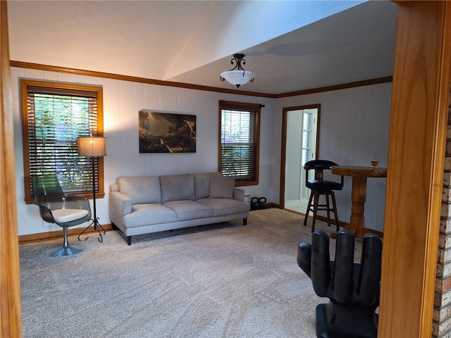 3619 Mccrady Rd, Churchill Boro, PA 15235 - carpeted living area with baseboards, crown molding, and wood walls