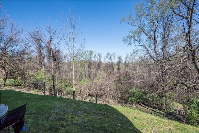 view of yard with a view of trees
