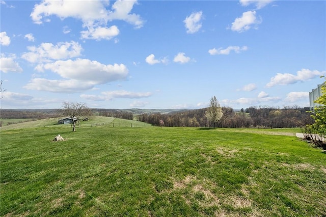 view of yard featuring a rural view