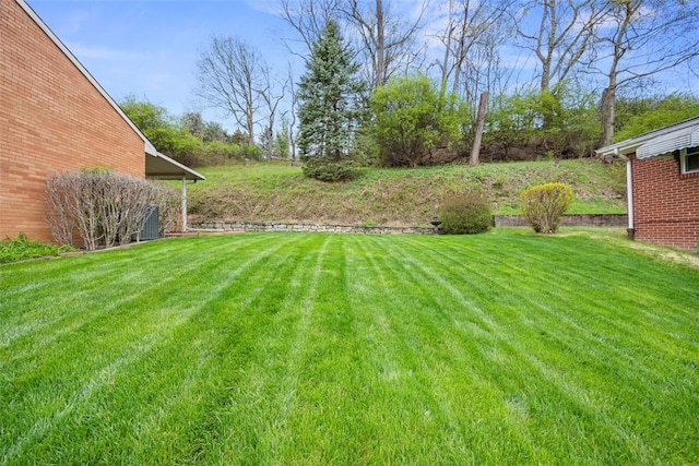 2314 Mcmonagle Ave, Banksville/Westwood, PA 15216 - view of yard