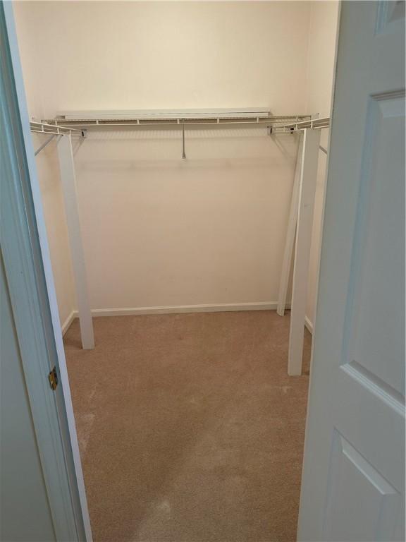 spacious closet with light carpet