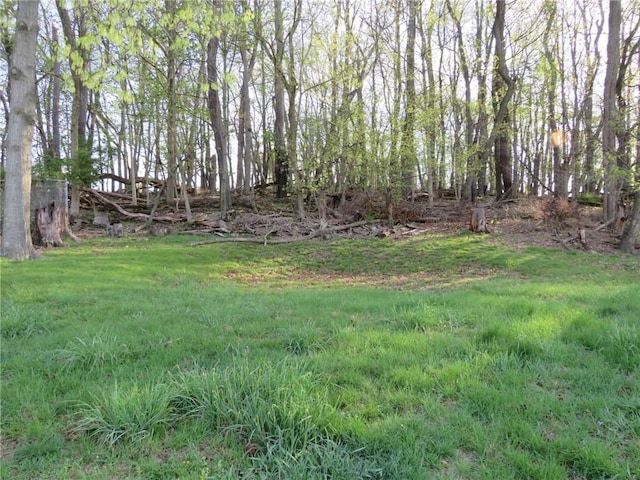 579 Clifton Rd, Bethel Park, PA 15102 - photo 25