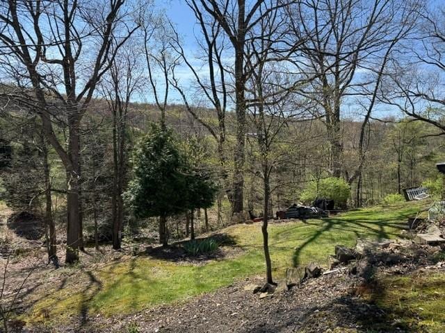 view of local wilderness with a view of trees