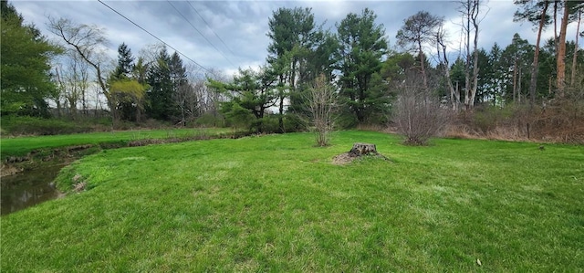 view of yard