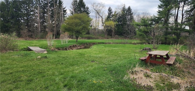view of yard