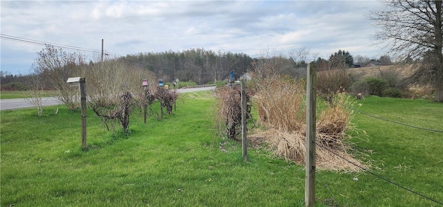 view of yard featuring a rural view