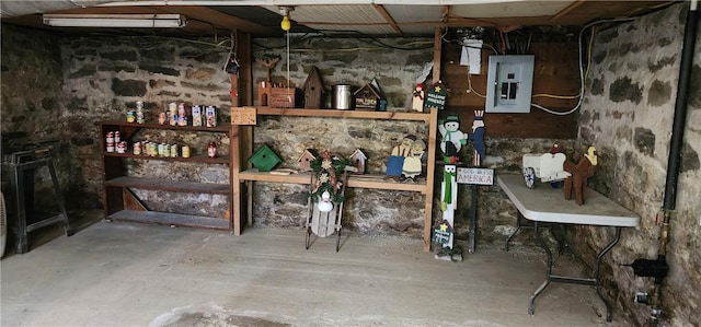 storage room with electric panel