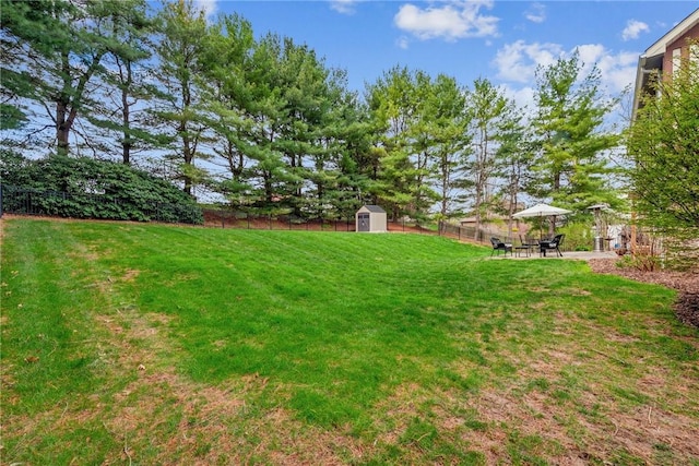 view of yard with a fenced backyard, an outbuilding, a storage shed, and a patio