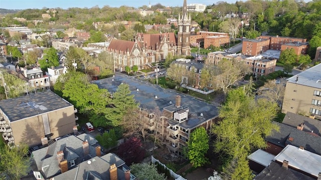 drone / aerial view