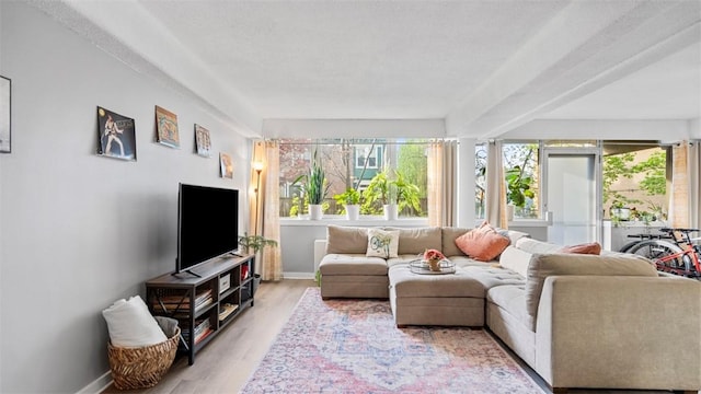living room with light wood-style flooring and baseboards