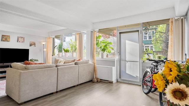 sunroom featuring plenty of natural light
