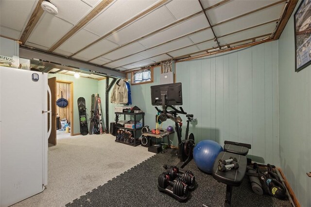 216 Briar Path, North Fayette, PA 15126 - view of workout room