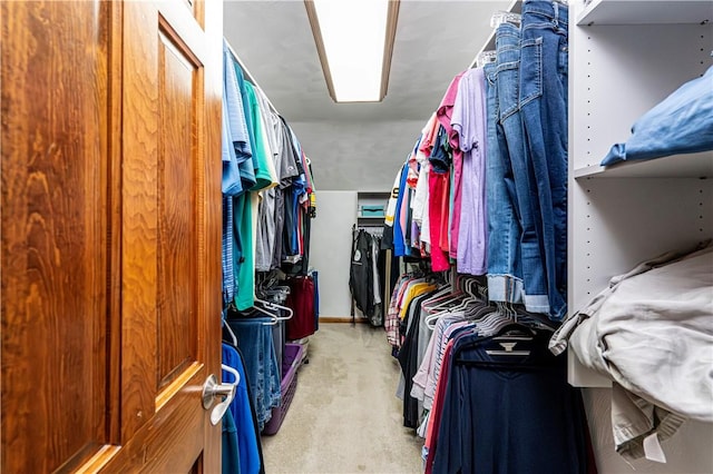spacious closet with light carpet