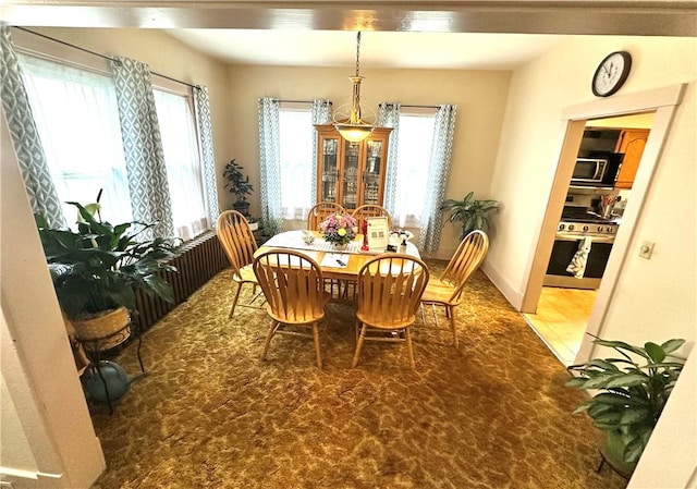 carpeted dining area with a healthy amount of sunlight