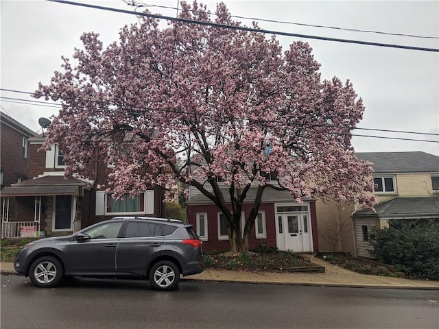 814 Greenfield Ave, Greenfield, PA 15217 - view of property hidden behind natural elements with brick siding