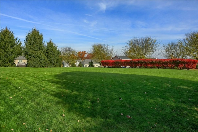 404 Plum Ct, Cranberry Twp, PA 16066 - view of grassy yard
