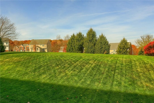 404 Plum Ct, Cranberry Twp, PA 16066 - view of green lawn