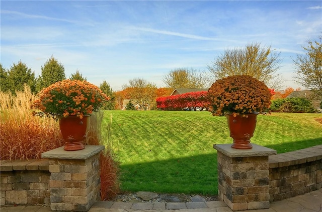 404 Plum Ct, Cranberry Twp, PA 16066 - view of green lawn