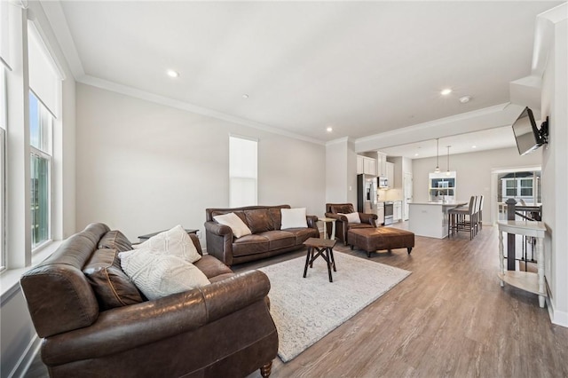 living room with wood finished floors, a healthy amount of sunlight, and crown molding