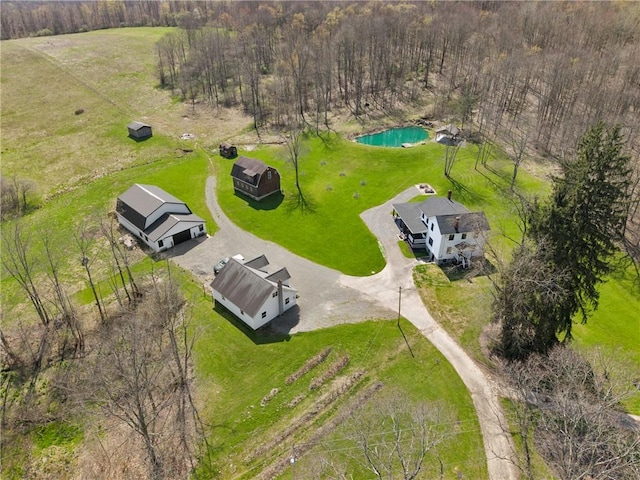 drone / aerial view