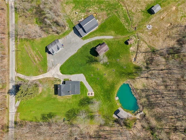 drone / aerial view