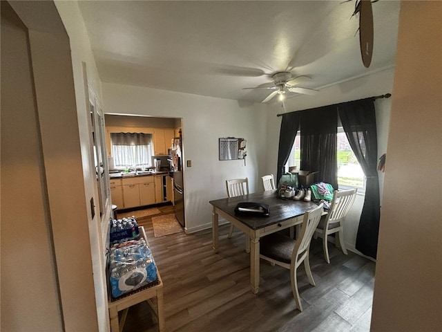 dining room with ceiling fan, dark wood-style flooring, and a healthy amount of sunlight