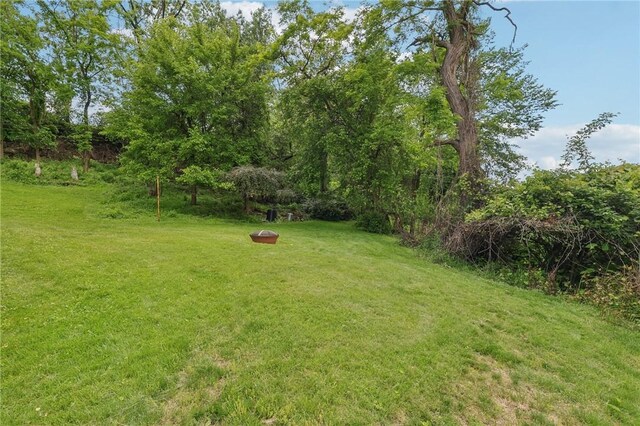 1060 Christopher St, Lawrenceville, PA 15201 - view of grassy yard
