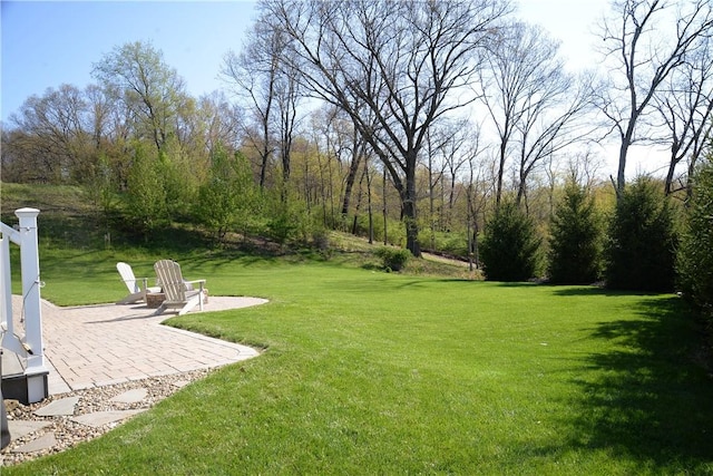 view of green lawn with a patio