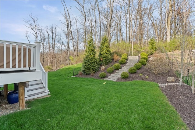 view of yard with stairway