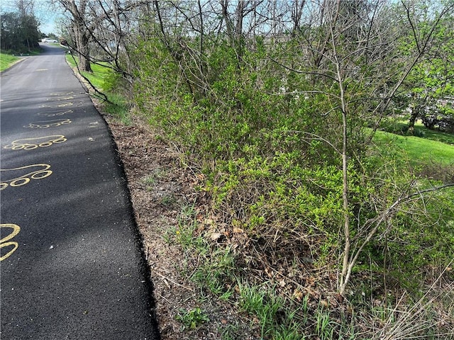 view of road