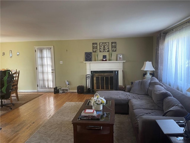 4710 Doverdell Dr, Whitehall, PA 15236 - living area with a glass covered fireplace, baseboards, and wood finished floors