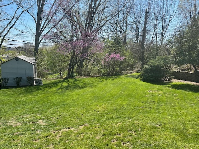 4710 Doverdell Dr, Whitehall, PA 15236 - view of yard with an outbuilding