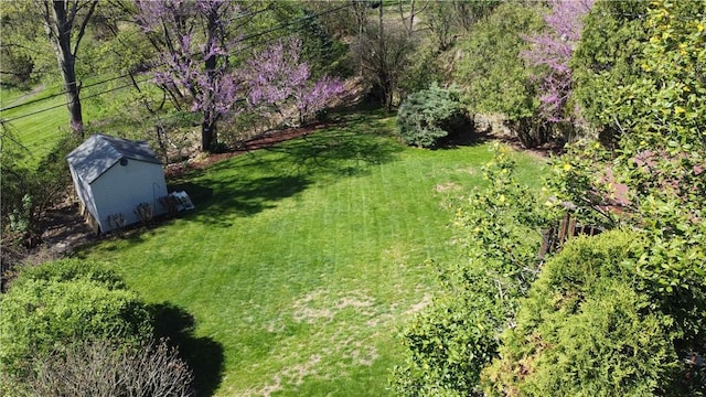 4710 Doverdell Dr, Whitehall, PA 15236 - view of yard with an outdoor structure and a shed