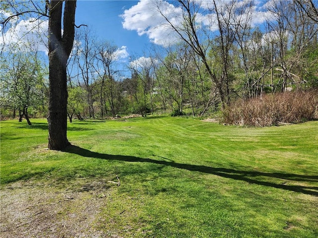 6420 Leechburg Rd, Verona, PA 15147 - photo 4