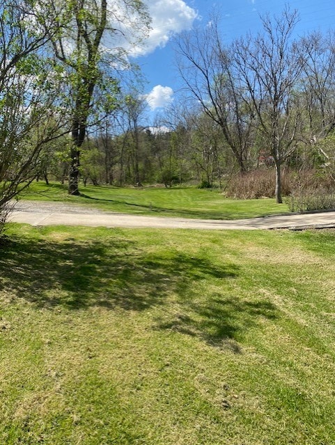 6420 Leechburg Rd, Verona, PA 15147 - photo 7