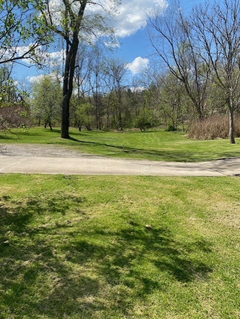 6420 Leechburg Rd, Verona, PA 15147 - photo 8