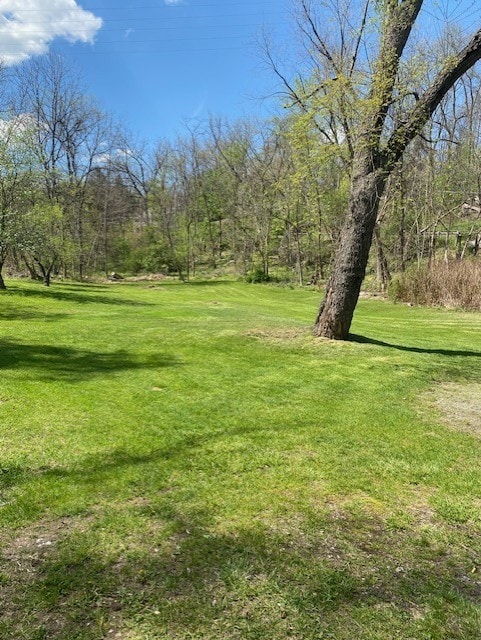 6420 Leechburg Rd, Verona, PA 15147 - photo 9