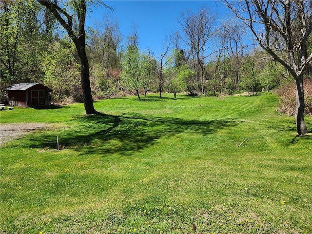 6420 Leechburg Rd, Verona, PA 15147 - photo 3