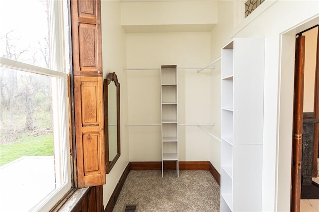walk in closet featuring visible vents and carpet flooring