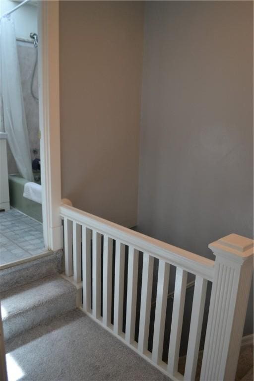 staircase featuring carpet floors