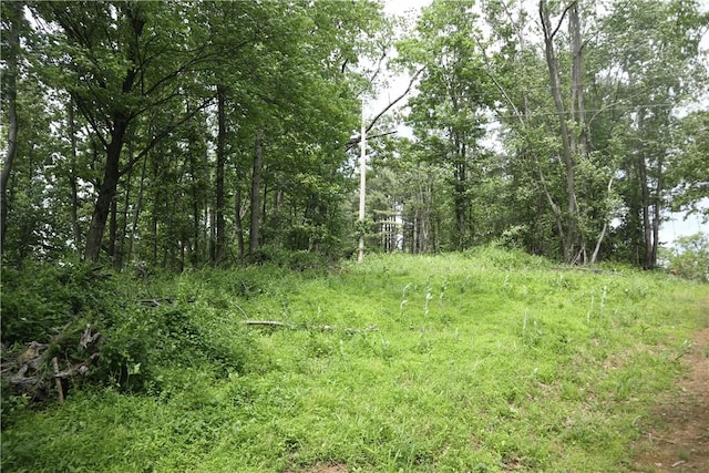 27 S California Dr, W Pike Run Twp, PA 15427 - view of local wilderness