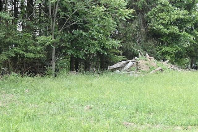 27 S California Dr, W Pike Run Twp, PA 15427 - view of woods