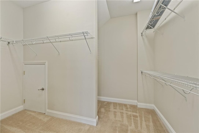spacious closet with light colored carpet